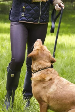 Classic Dog Lead