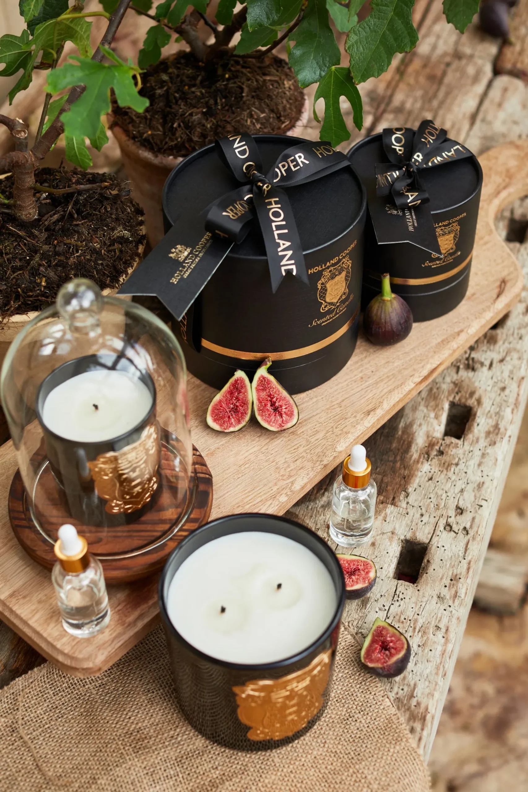 Double Wick Candle