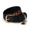 HC Classic Dog Collar