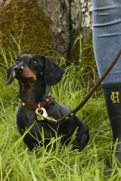 HC Slim Dog Lead