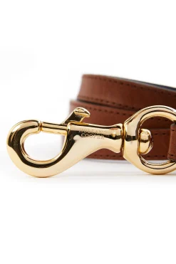 HC Slim Dog Lead