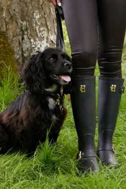 HC Slim Dog Lead