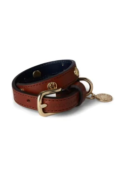 HC Studded Dog Collar