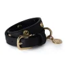 HC Studded Dog Collar