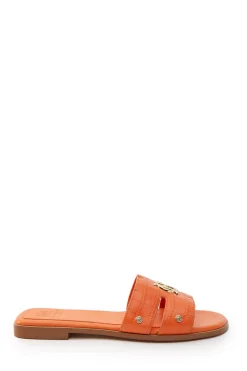 Monogram Slides