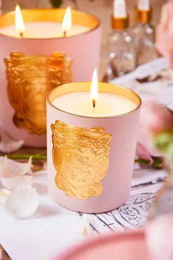 Single Wick Candle
